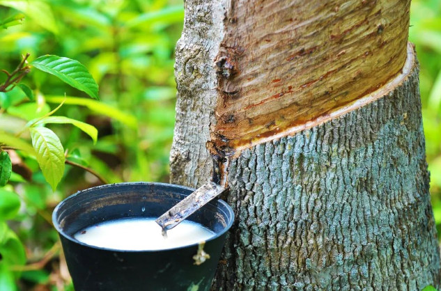 食用胶真的跟“胶水”有关吗？