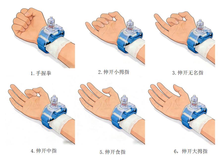 为什么一次性压脉带“医”说就懂丨止血小帮手——这个“压迫感”很有安全感_https://www.jmylbn.com_新闻资讯_第6张