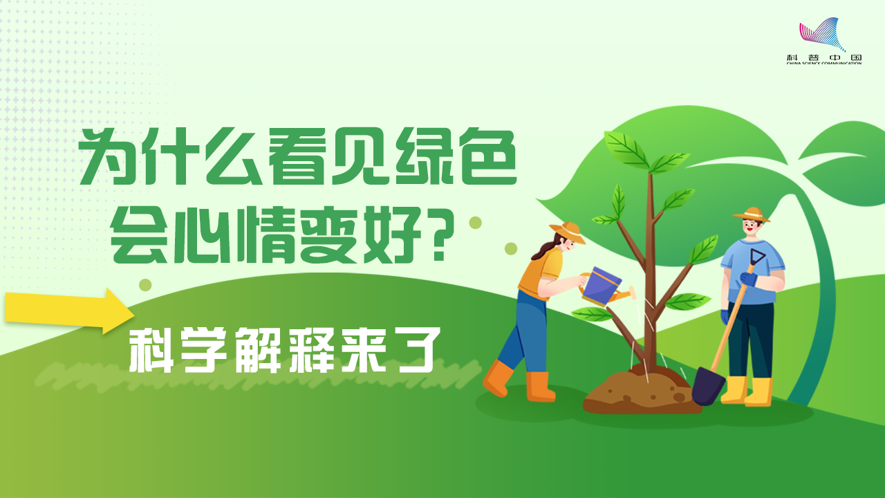 为什么看见绿色会心情变好？科学解释来了