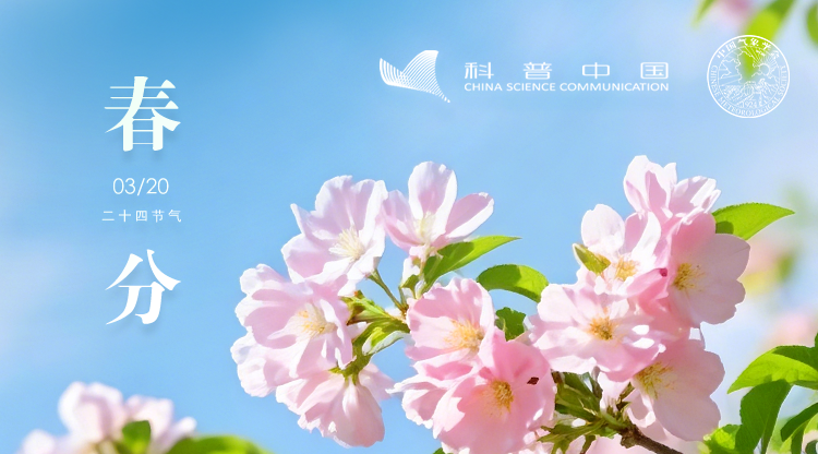 节气科普丨“春分麦起身，一刻值千金”：一起读懂农田中的节气韵律