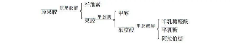1791267131783.jpg
