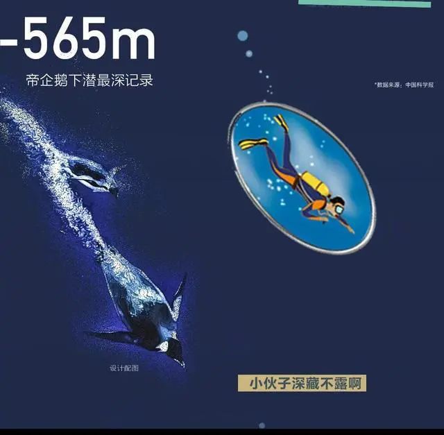 海洋科普漫画 I 从0米到10000米，海底深处有什么？：科普中国