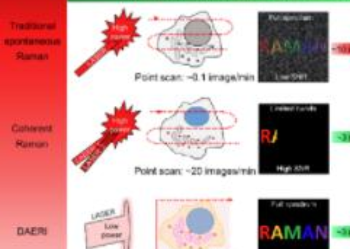 中国科大实现活细胞的高分辨低功耗快速拉曼成像