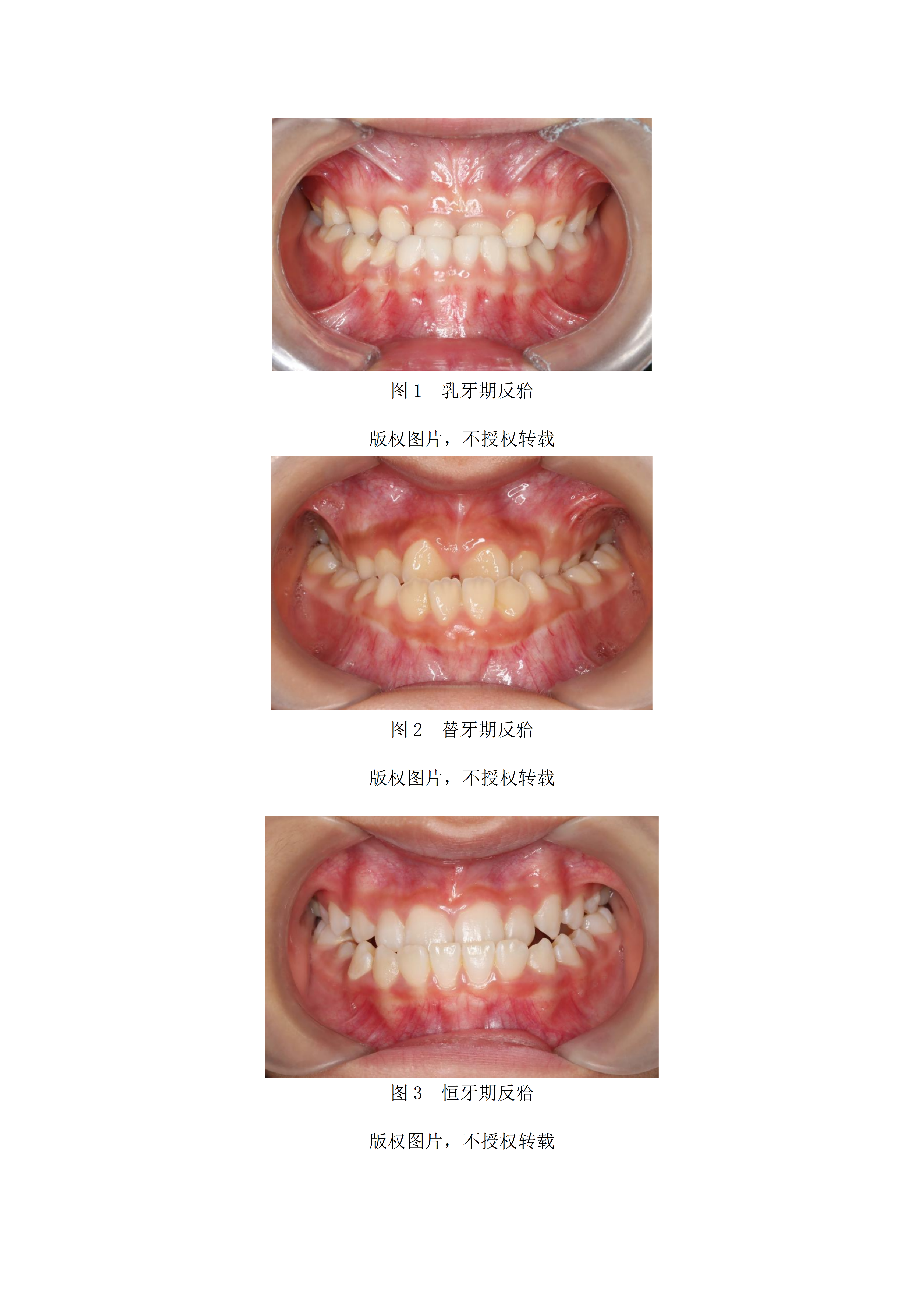 Hình ảnh 2
