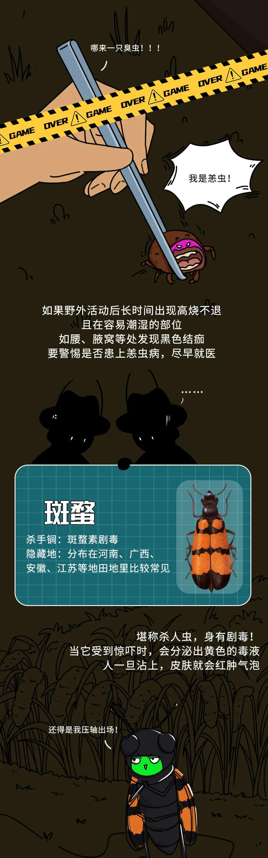 人类“死亡”日记：一只小小的虫子也能杀人？：科普中国