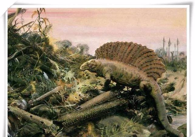 二叠纪——生物圈重大变革时期(三)二叠纪物种大灭绝泥盆纪是脊椎动物