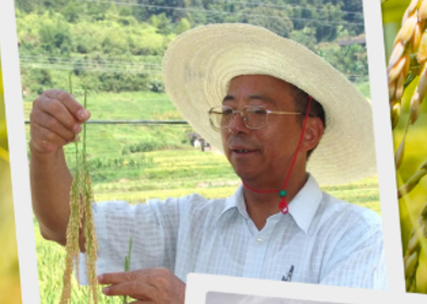 庆丰收 迎盛会｜致敬农业科学家！他们守护大地的丰收