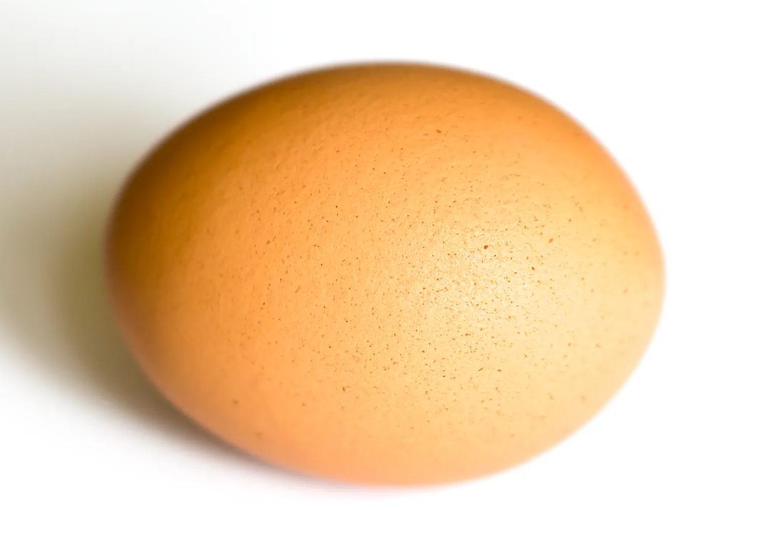 自然科普：鸡蛋为甚么是椭圆的且一头大年夜一头小？