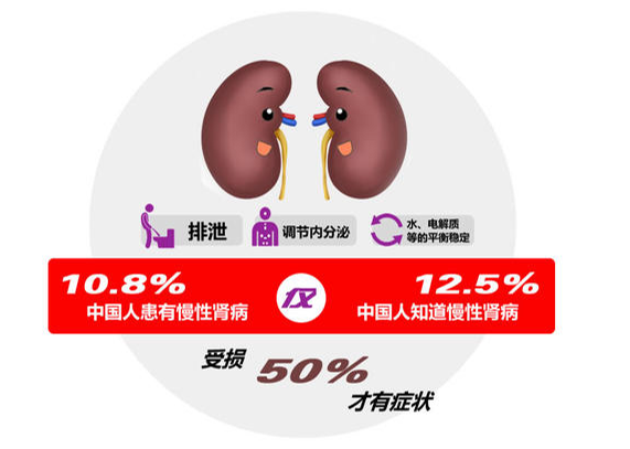 食品安全 | 空腹时到底能不能吃这些食物？真相在这里!