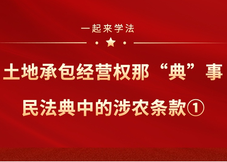 【一起来学法】土地承包经营权那“典”事民法典中的涉农条款①