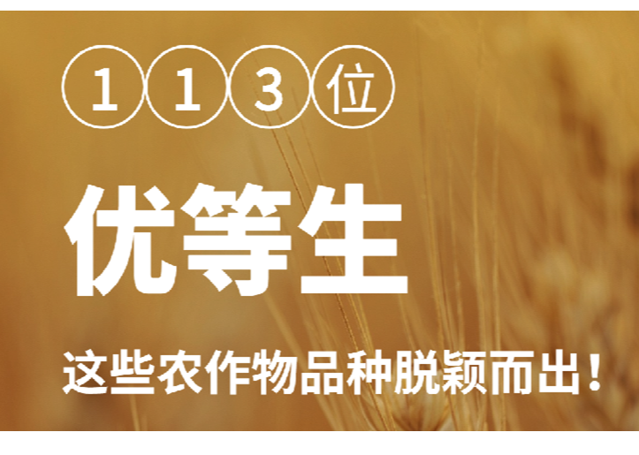 【智惠农民】113位“优等生”，这些农作物品种脱颖而出！