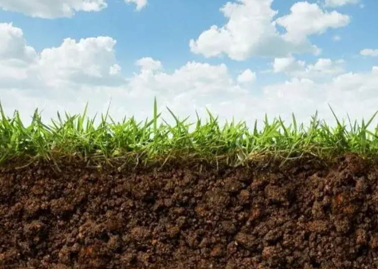 首届宁夏中学生科普科幻作文大赛获奖作品展示：消失的土壤