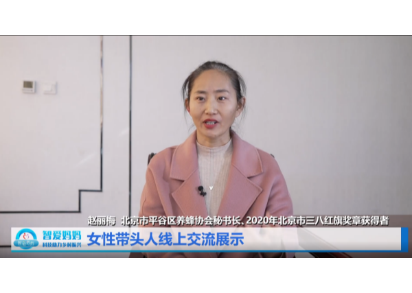 “智爱妈妈”女性带头人线上交流展示——走进巾帼能人赵丽梅的“甜蜜”事业