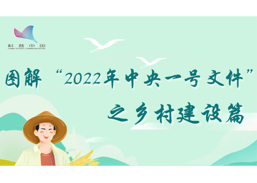 【智惠农民】乡村建设如何落实？一图读懂“2022年中央一号文件”