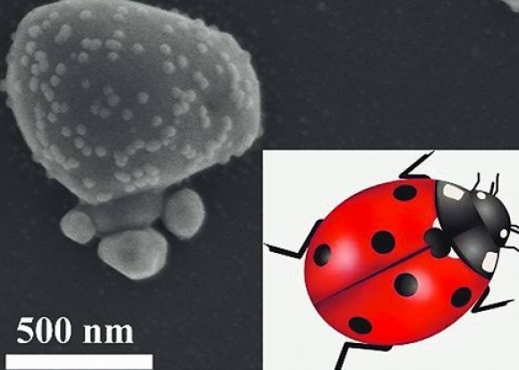 “七星瓢虫斑点样”耐高压固态纳米材料研制成功