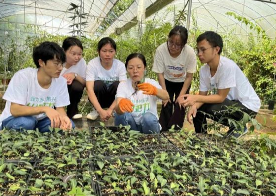 科技赋能 小菌菇撑起乡村振兴“致富伞”