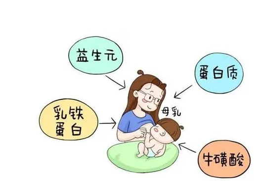 生命的源泉——乳汁