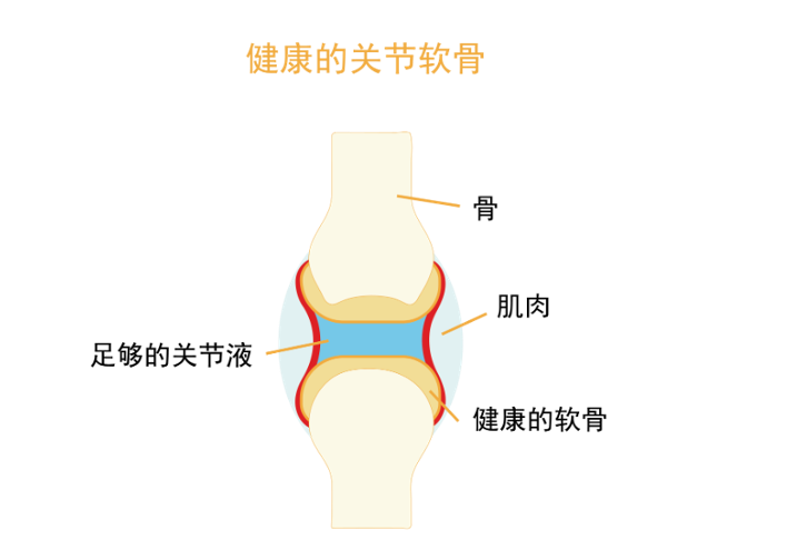 除了脸，还有哪个部位怕老