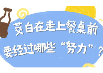 【智惠农民】春分——春色平分，农事紧跟