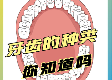 每一颗牙齿都长得不一样，你知道为什么吗？