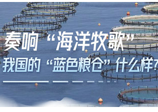 【智惠农民】奏响“海洋牧歌”：我国的“蓝色粮仓”什么样？