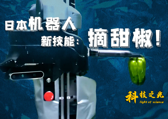 日本机器人新技能：摘甜椒！