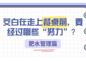 【智惠农民】茭白在走上餐桌前，要经过哪些“努力”？——肥水管理篇