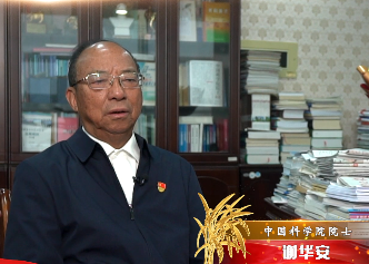 #杂交水稻五十年#谢华安院士短视频第4期