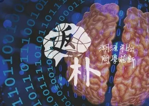 数是什么？我们的大脑是怎样感知数的？