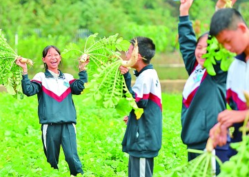 在都市里播撒田园梦——对“城市农夫”现象的分析与思考