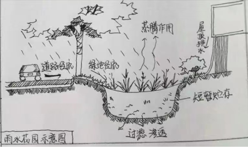 
            现代雨水花园，是个什么“雨”众不同的花园？        