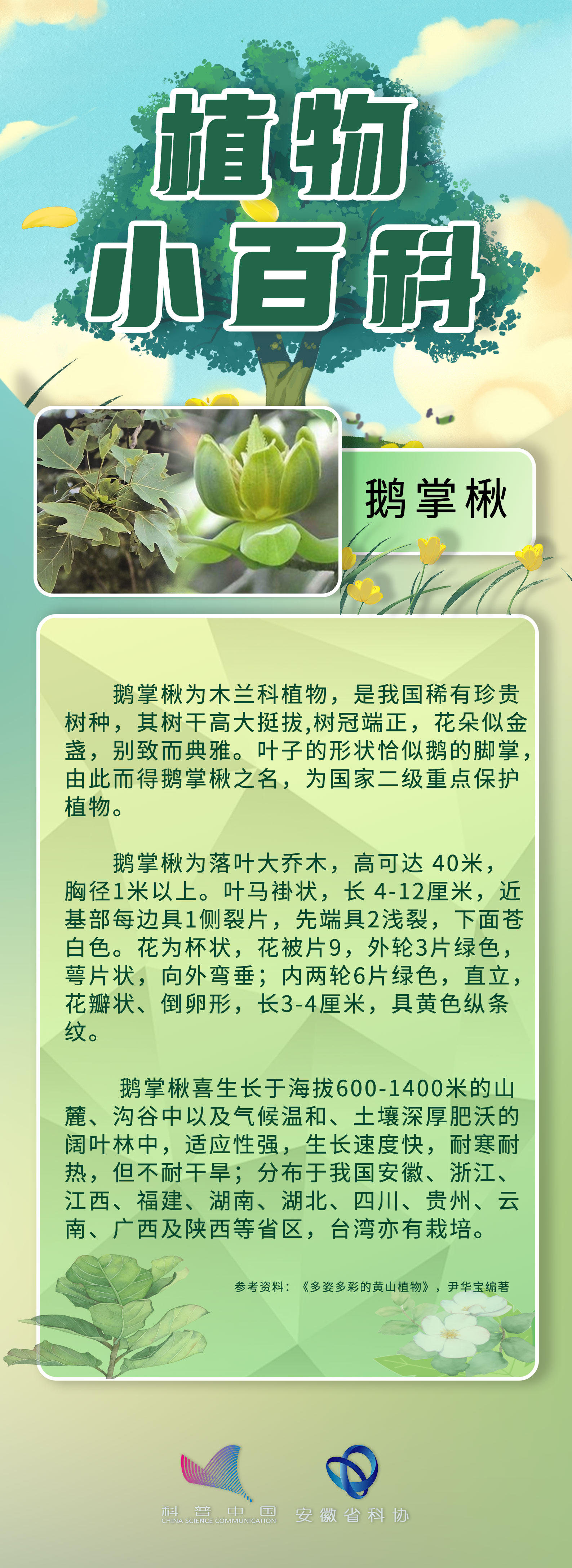 植物小百科