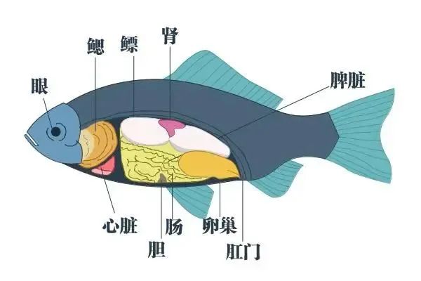 Hình ảnh từ trang Guangdong Health Online