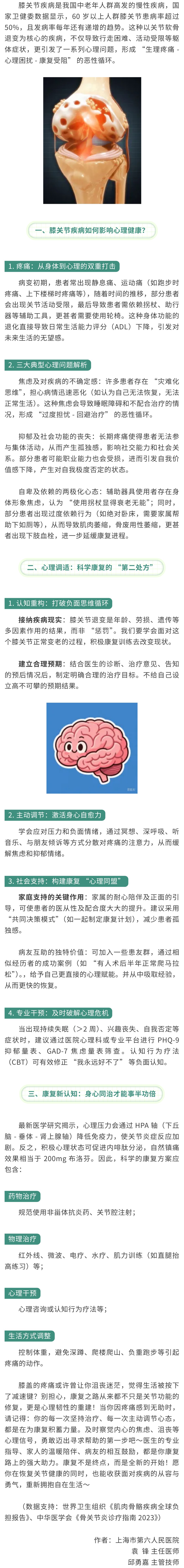 Hình ảnh 2