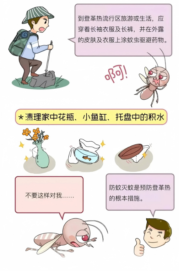 Dengue prevention tips