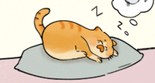 你家的猫为什么爱左侧睡？