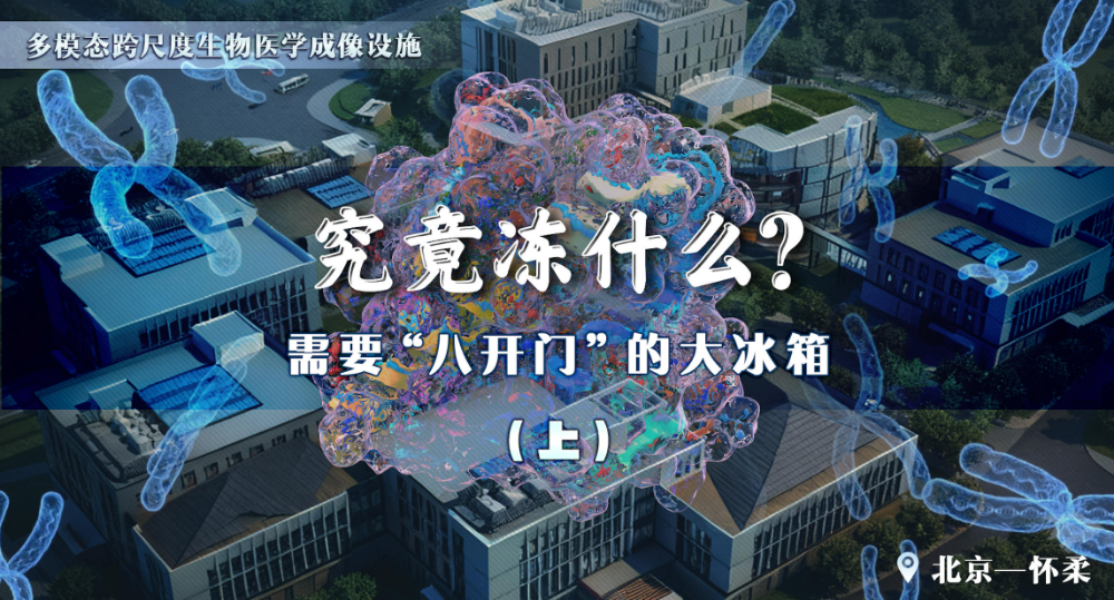 这台“八开门”的大冰箱，到底是用来冻啥的？