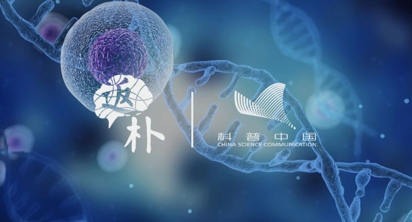 探索生命“边界”：活着，最少需要多少基因？