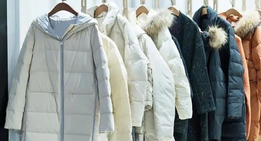 羽绒服怎么选不踩坑？浙理工专业教师教你买