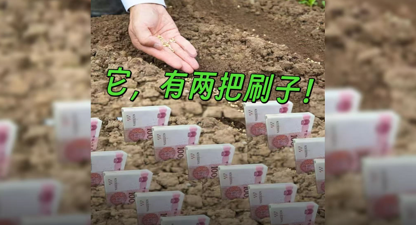 新的一年如何实现“家里有矿”？种它！
