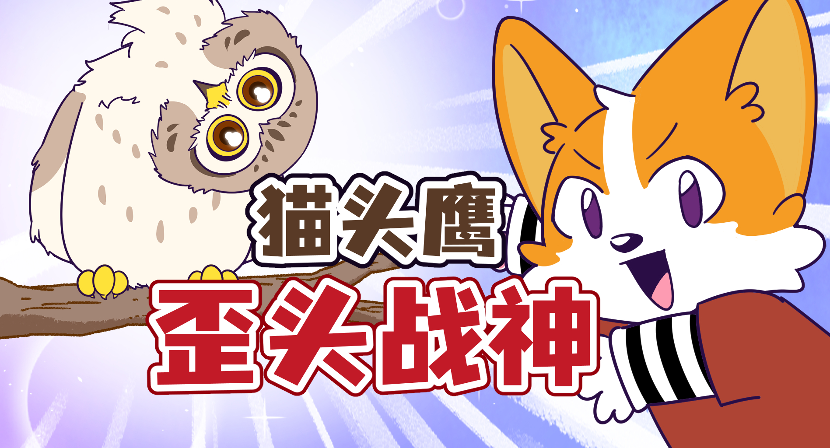 猫头鹰为啥要把自己的脖子长成这样？