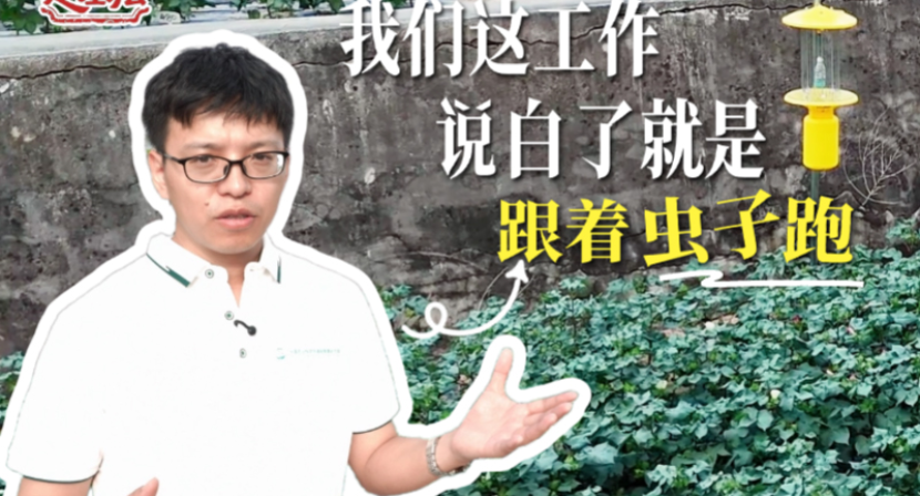 “虫子飞到哪，我们的监测和研究就跟到哪”
