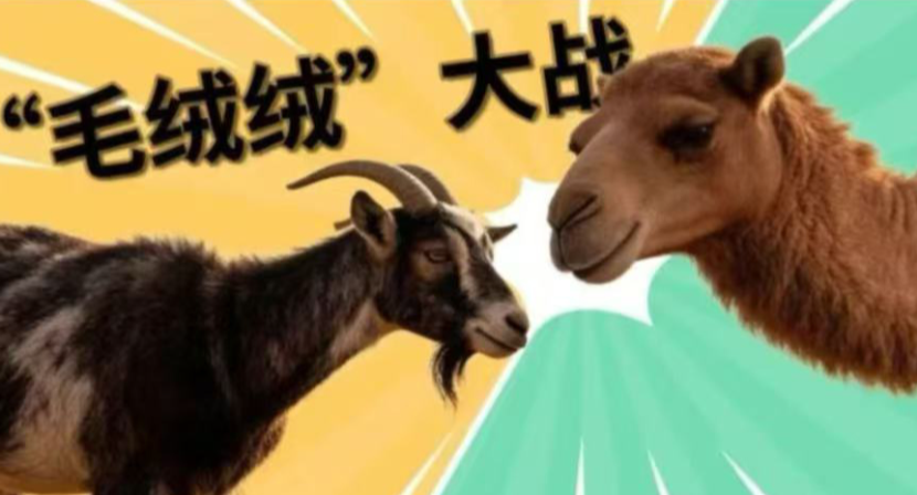 同样都是“绒字辈”，凭啥羊绒卖这么贵？