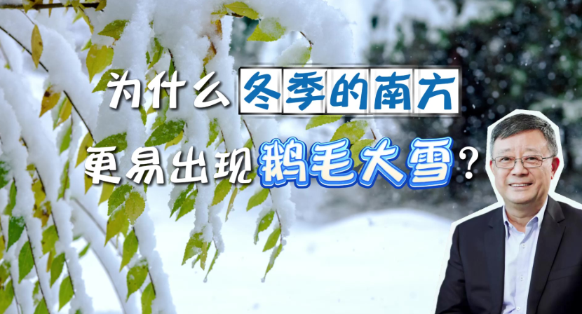 冬季的南方，为何更易出现鹅毛大雪？