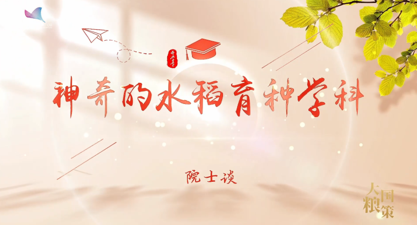 院士谈：神奇的水稻育种学科