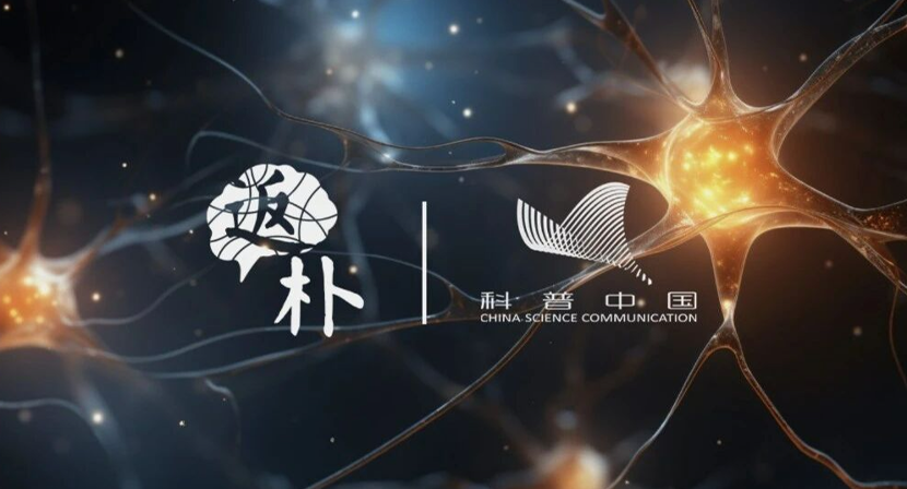 为什么冰壶的滑行轨迹反直觉？｜科技周览