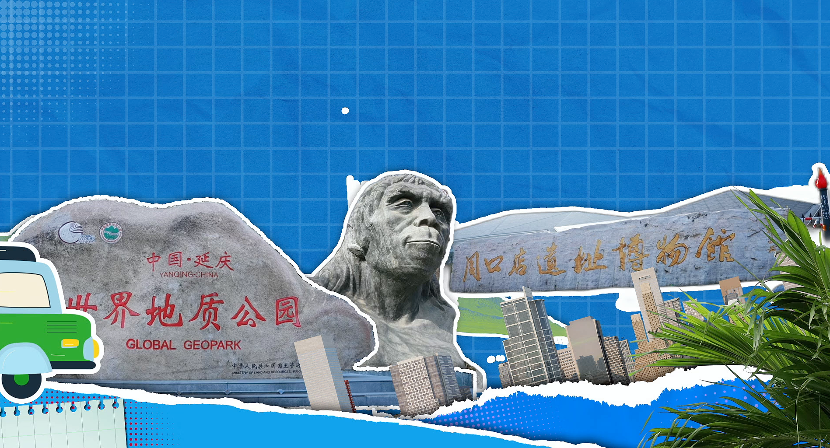 生物最后都能变成化石吗？解锁地球亿万年“朋友圈”