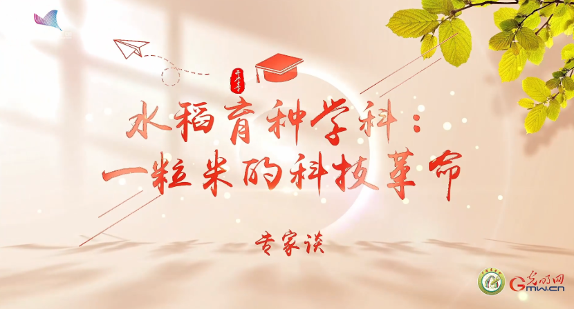 大国粮策 | 一粒米的科技革命