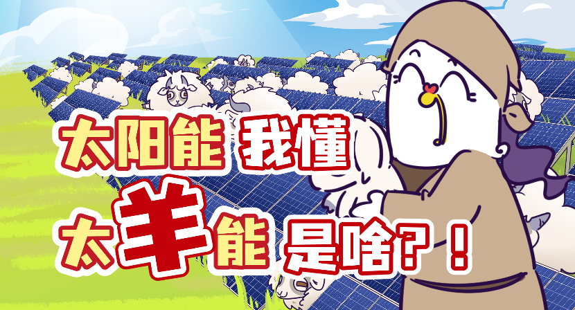 豪砸3亿在沙漠建发电站，结果养肥了那的羊？