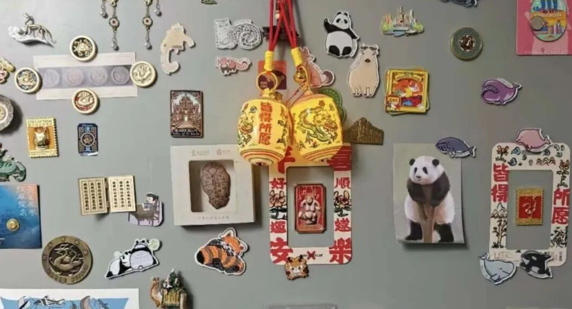 冰箱贴一直不挪，居然会偷偷伤害冰箱门......